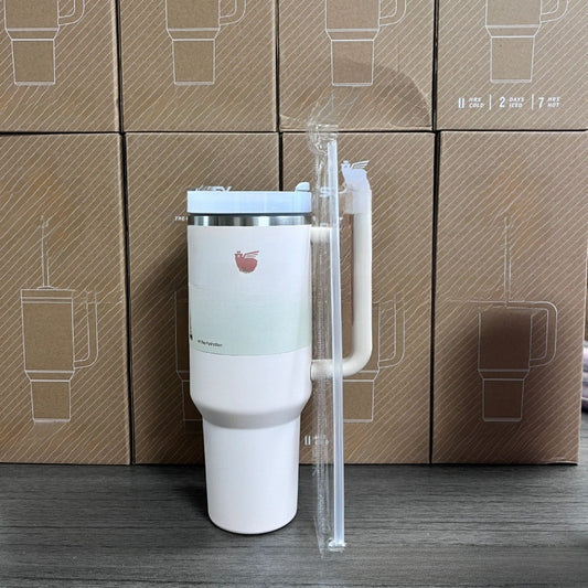 Stainless Steel Insulated Tumbler with Handle