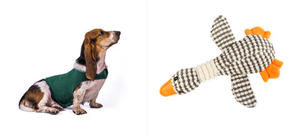 Buy Anxiety Jacket Vest for Dogs & Cats | Calming Comfort Wear