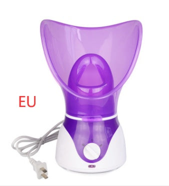 Ion Hot Spray Steamer for Home Facial Steam Beauty Care