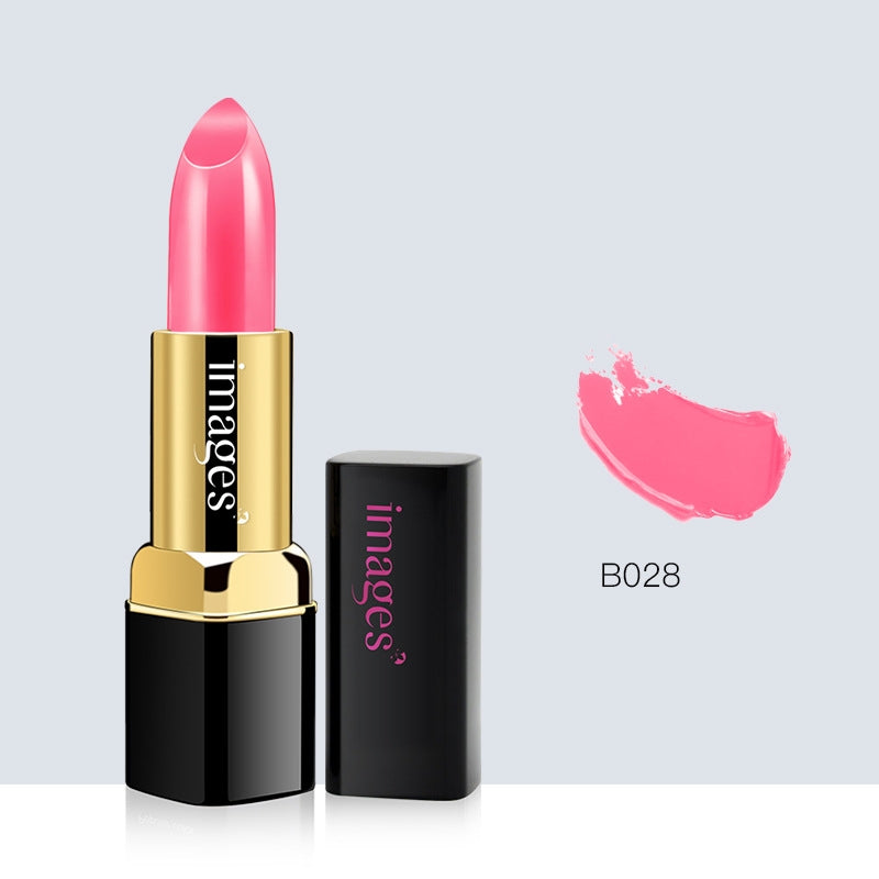 Lipstick Lip Gloss Set Moisturizing Colors for All-Day Wear