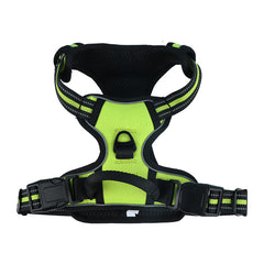 Fluorescent Green
