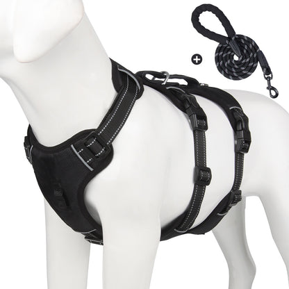 Adjustable Dog Harness with Leash Comfortable Daily Dog Fit