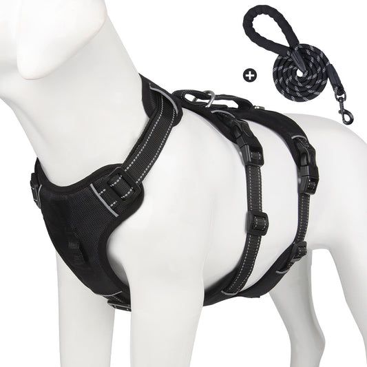 Adjustable Dog Harness with Leash Comfortable Daily Dog Fit