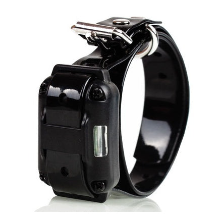 Buy 800m Dog Training Collar with Shock Anti - Barking System