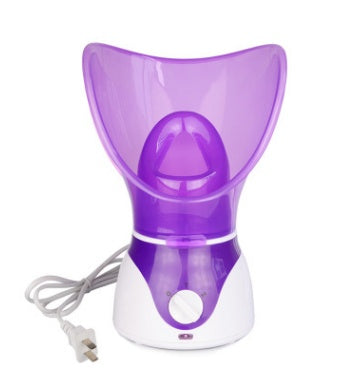 Ion Hot Spray Steamer for Home Facial Steam Beauty Care