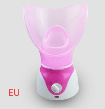 Ion Hot Spray Steamer for Home Facial Steam Beauty Care