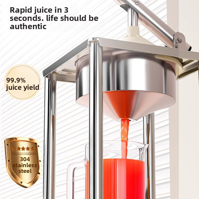 304 stainless steel juicer