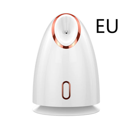 Nano Thermal Spray Moisturizing Face Steamer for Skin Care