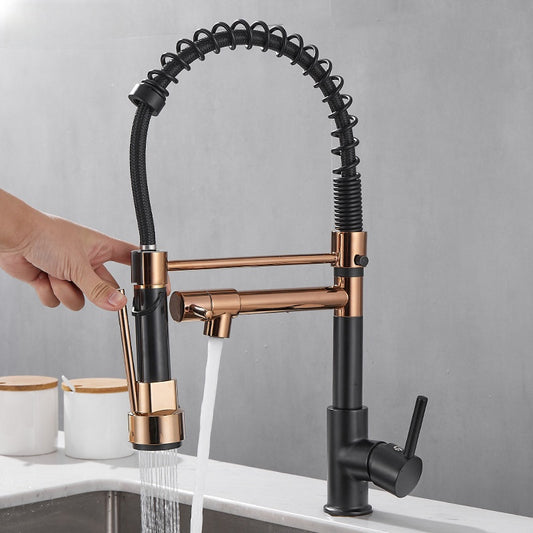Pull Out Kitchen Faucet with Dual Handle for Daily Sink Use