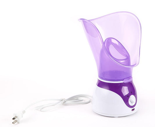 Ion Hot Spray Steamer for Home Facial Steam Beauty Care