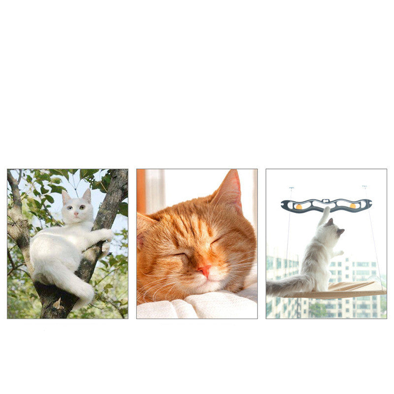 Buy Cat Window Hammock – Hanging Sun-Perch for Cats & Kittens