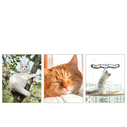 Buy Cat Window Hammock – Hanging Sun-Perch for Cats & Kittens