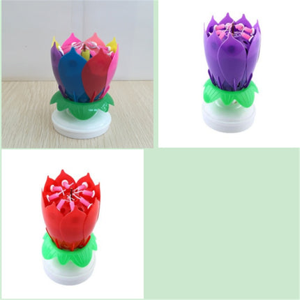 Buy First Musical Lotus Candle Colorful Birthday Cake Decor