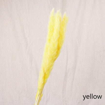 Buy First Reed Dried Flower Home Decoration Stylish Interior Art