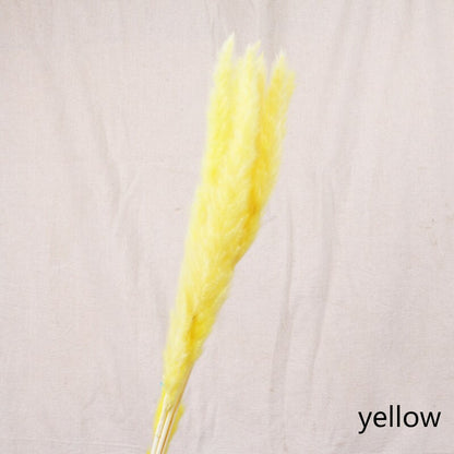 Buy First Reed Dried Flower Home Decoration Stylish Interior Art