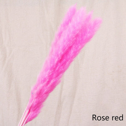 Buy First Reed Dried Flower Home Decoration Stylish Interior Art