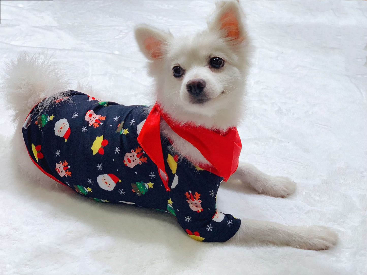 Buy Family Christmas Matching Pajamas – Xmas PJs Sleepwear Set