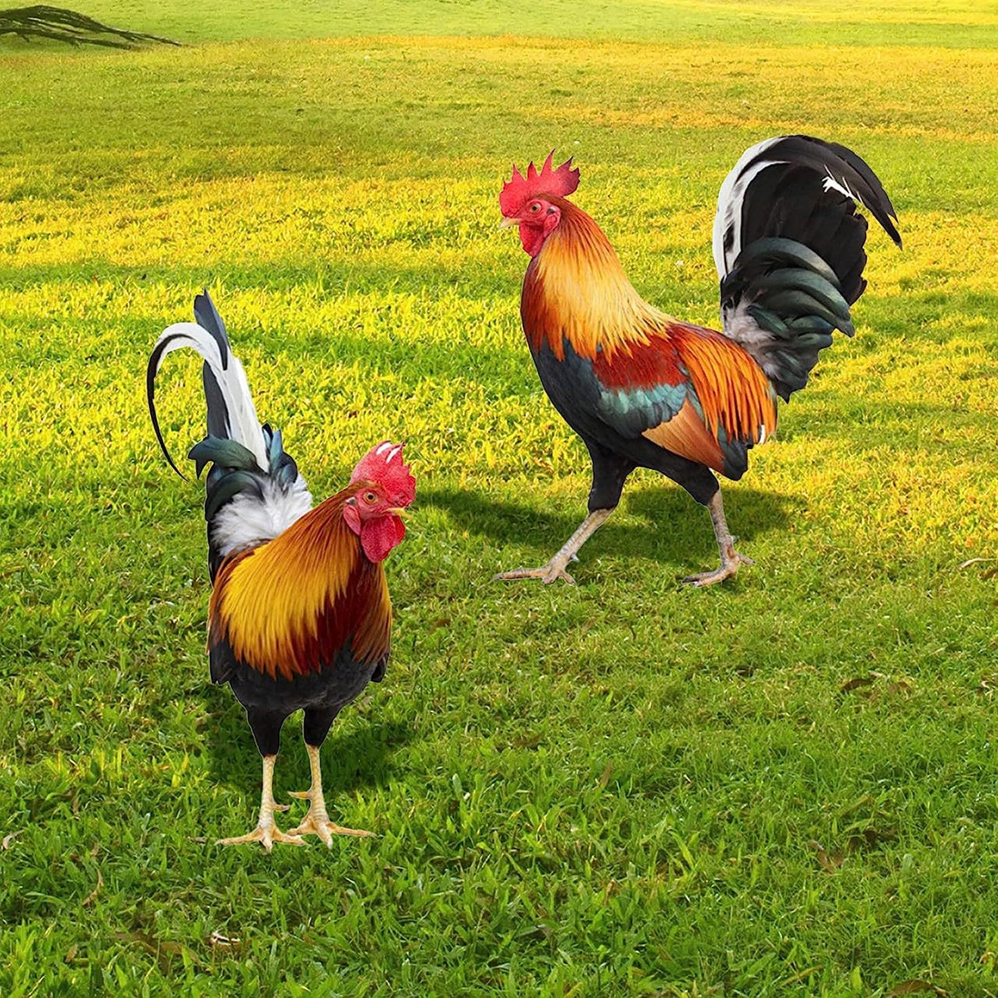 3D Rooster Acrylic Mirror Garden Decoration