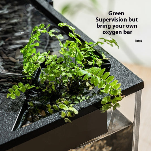 Acrylic Filter Lazy Aquarium – Heating & Lighting Integrated