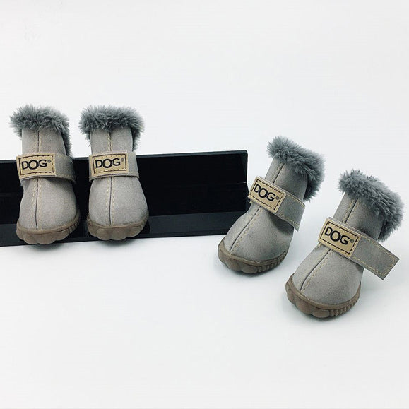 Buy Stylish Pet Shoes & Socks for Indoor and Outdoor Comfort