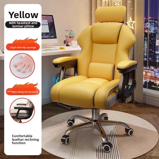 Adjustable Lumbar Support Ergonomic Office Chair for Comfort
