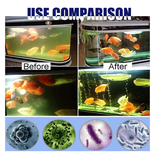Buy Igbondigal Lichen Aquarium Algae Remover Cleaning Supply