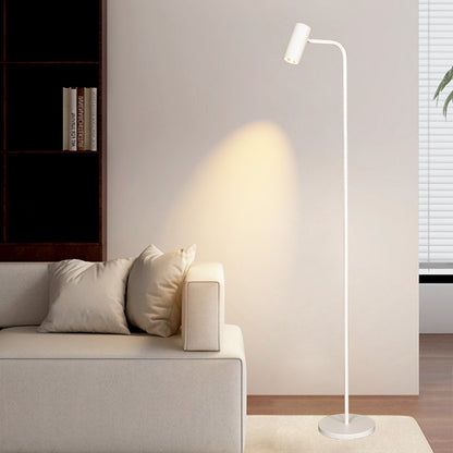 Adjustable Floor Lamp with Three-Head Three-Color Lighting