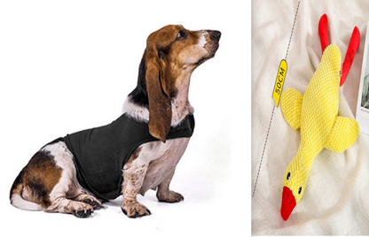 Buy Anxiety Jacket Vest for Dogs & Cats | Calming Comfort Wear