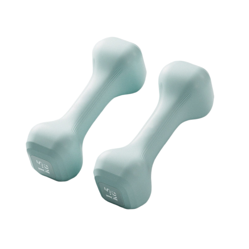 PVC Dumbbells for Women and Beginners Home Fitness Gear Set