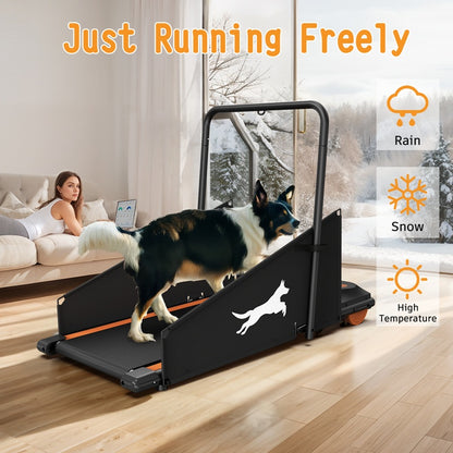 Small & Medium Dog Treadmill – Keep Pets Fit with Run & Walk