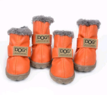 Buy Stylish Pet Shoes & Socks for Indoor and Outdoor Comfort