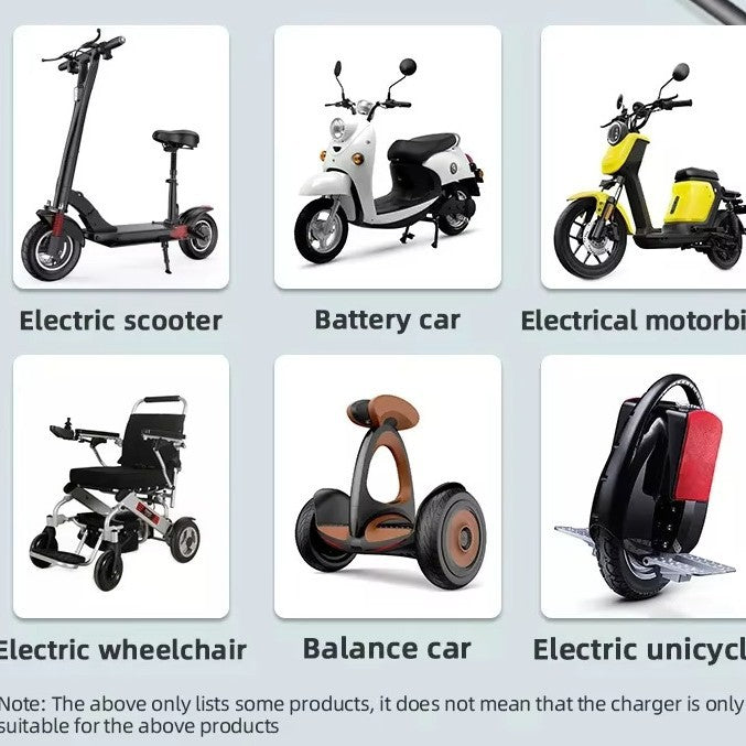48V Lithium-Ion Battery Charger for Electric Bicycles