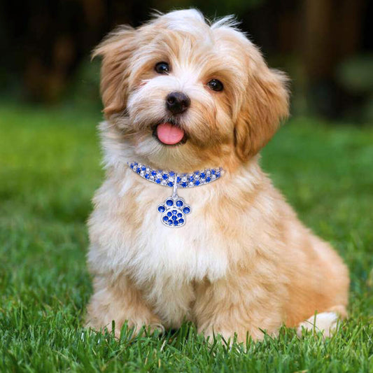 Diamond Pet Collar – Elastic Bling Necklace for Cats & Dogs
