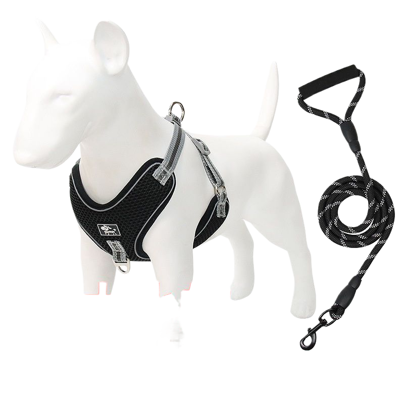 Adjustable Reflective Dog Harness and Leash Walking Fit Now