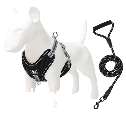 Adjustable Reflective Dog Harness and Leash Walking Fit Now