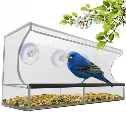 Buy New Acrylic Bird Feeder for Garden Window and Outdoor Use