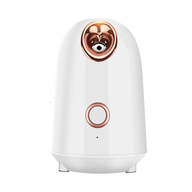 Nano Thermal Spray Moisturizing Face Steamer for Skin Care