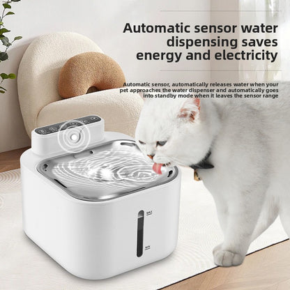 Cat Water Fountain for Fresh Drinking Water for Cats