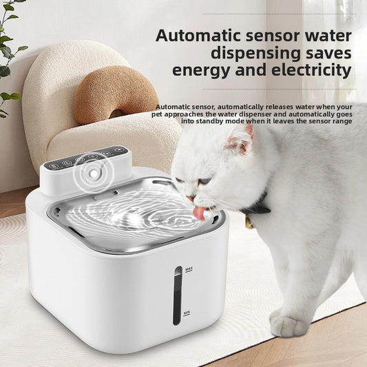 Cat Water Fountain for Fresh Drinking Water for Cats