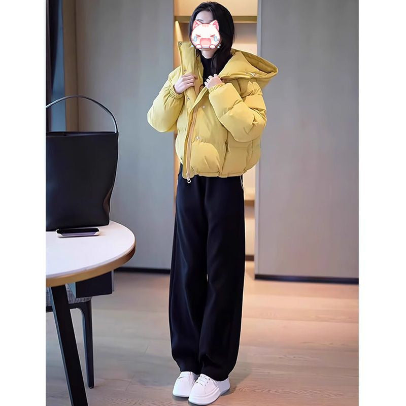 Buy Winter Korean-Style Cropped Hooded Cotton Jacket for Women