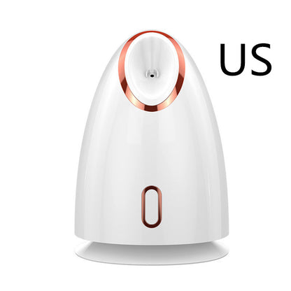 Nano Thermal Spray Moisturizing Face Steamer for Skin Care
