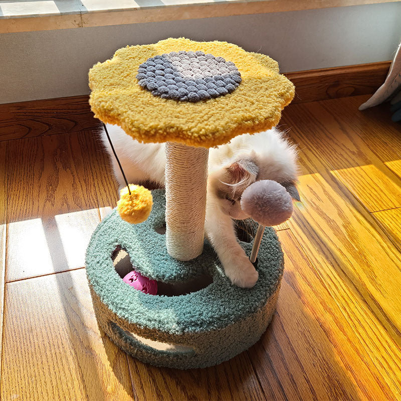 Buy Cat Claw Grinding Scratch Board Fun Interactive Cat Toys