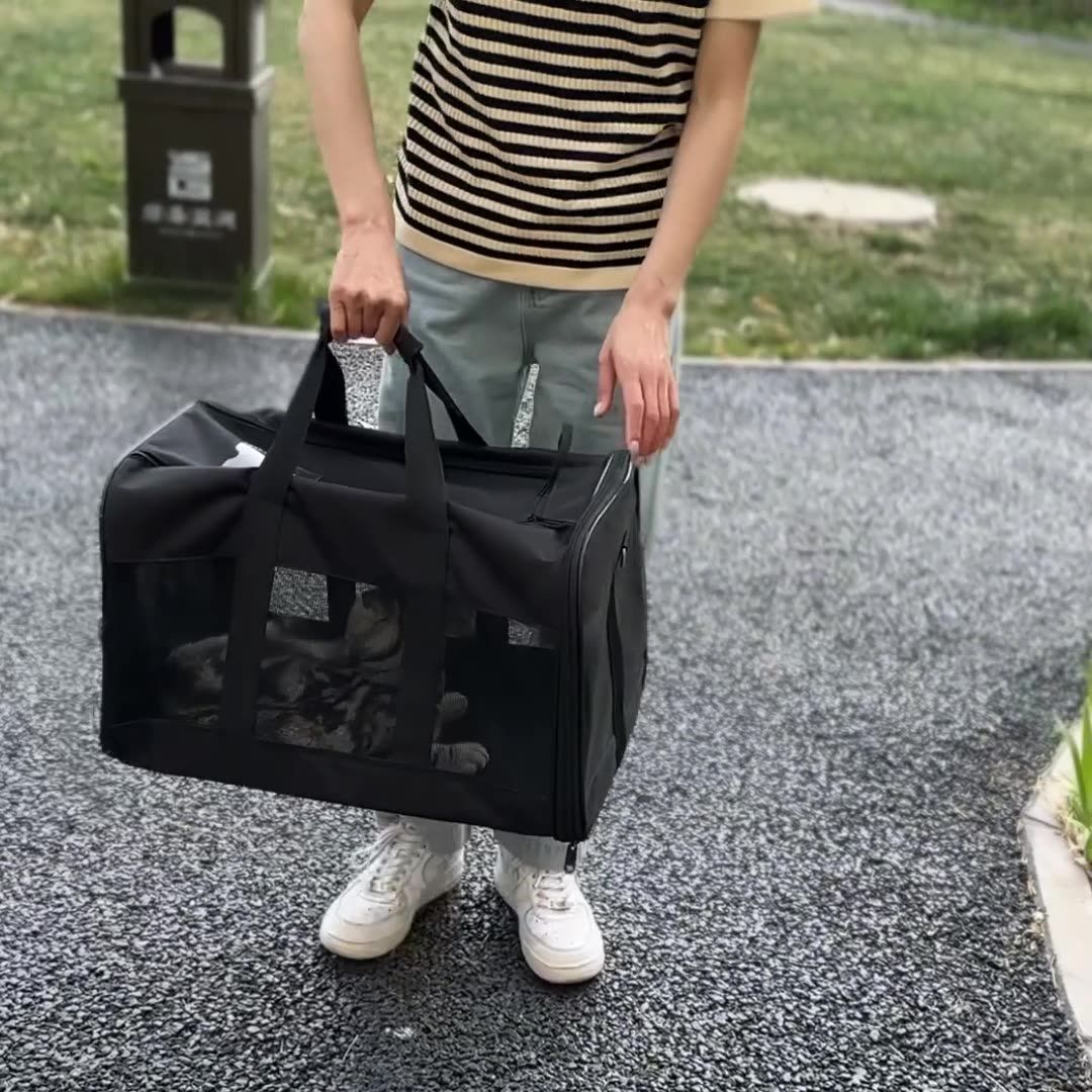 Medium Portable Breathable Dog & Cat Carrier Travel Bag