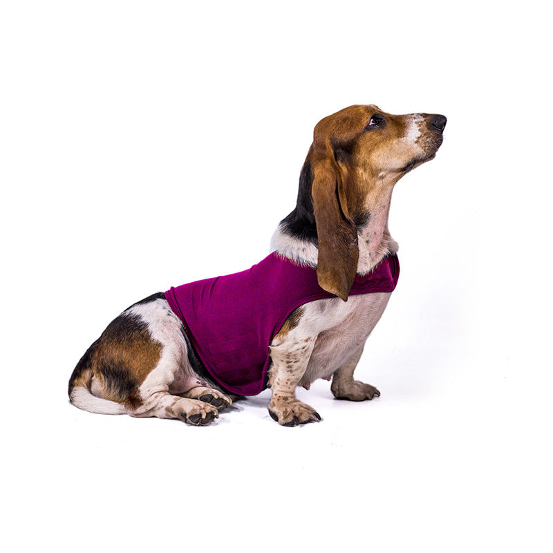 Buy Anxiety Jacket Vest for Dogs & Cats | Calming Comfort Wear