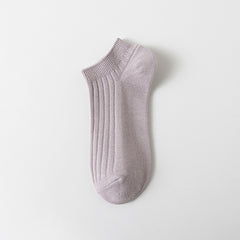 Taro Purple 3pcs