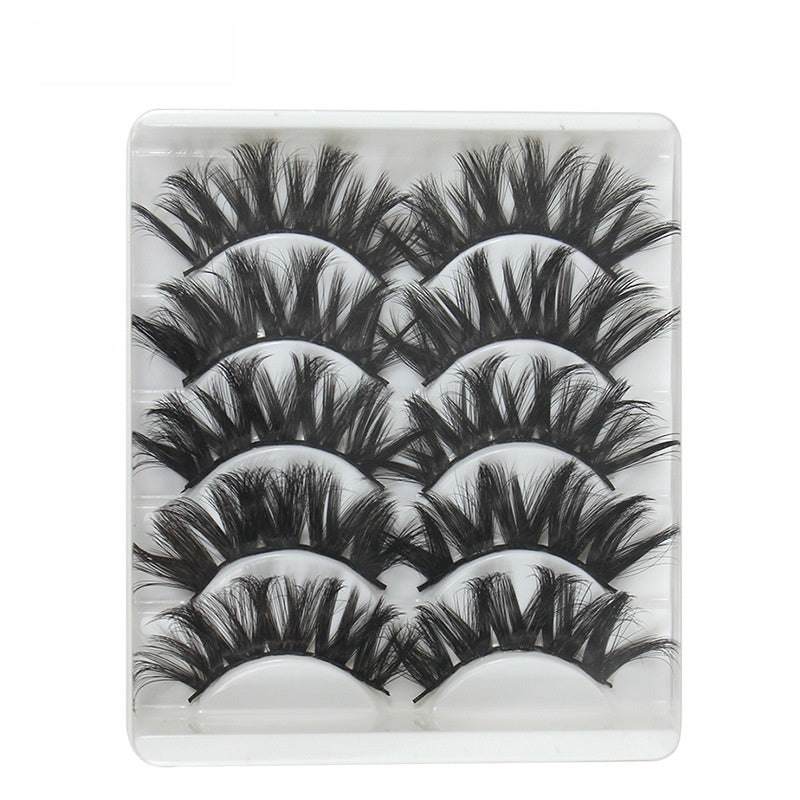 5 pairs of eyelashes