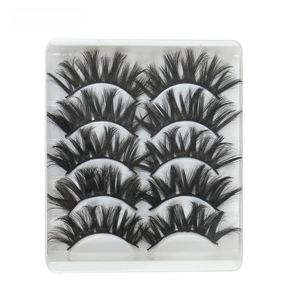 5 pairs of eyelashes