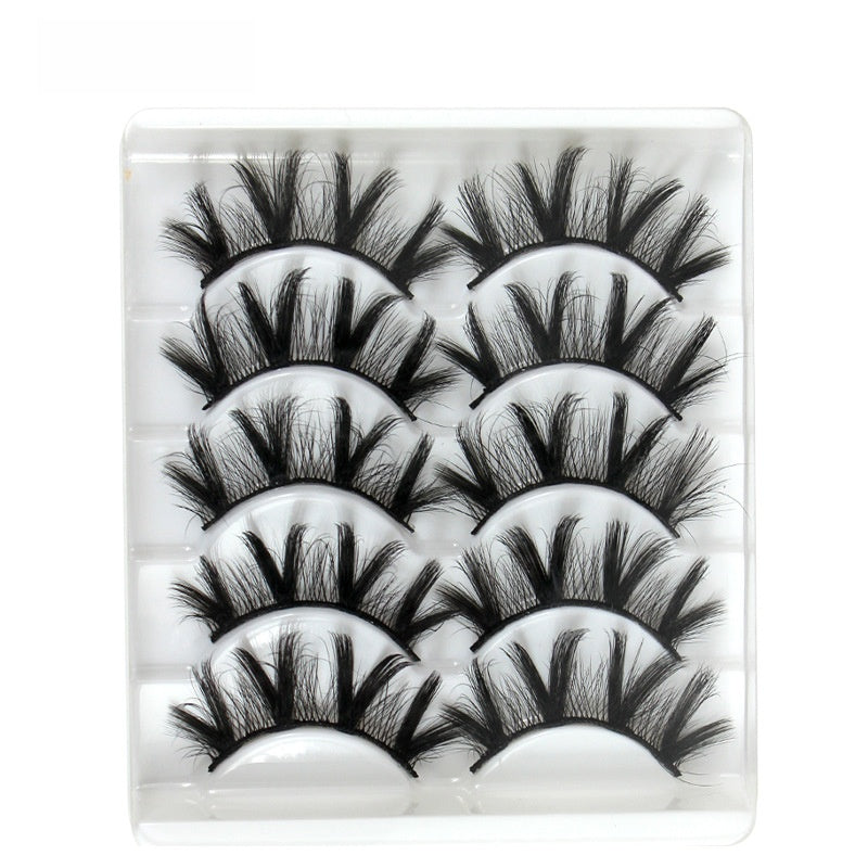 5 pairs of eyelashes