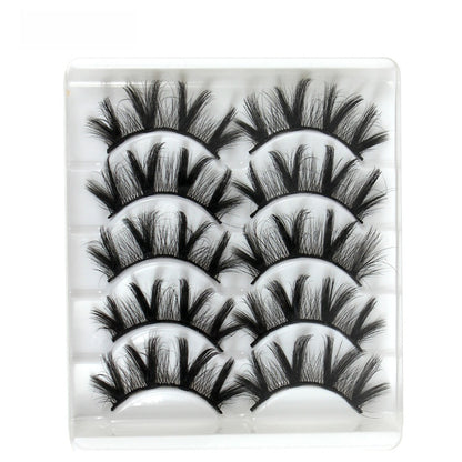 5 pairs of eyelashes