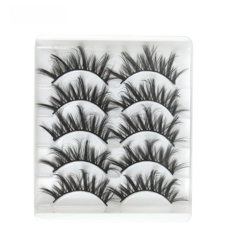 5 pairs of eyelashes
